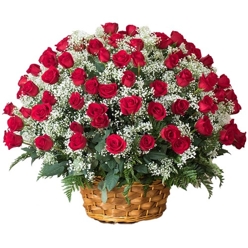 Send Rose Day Arrangement of Dutch Red Roses