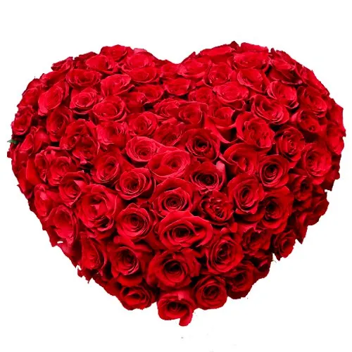 Magical Heart Shaped 150 Dutch Red Roses Arrangement