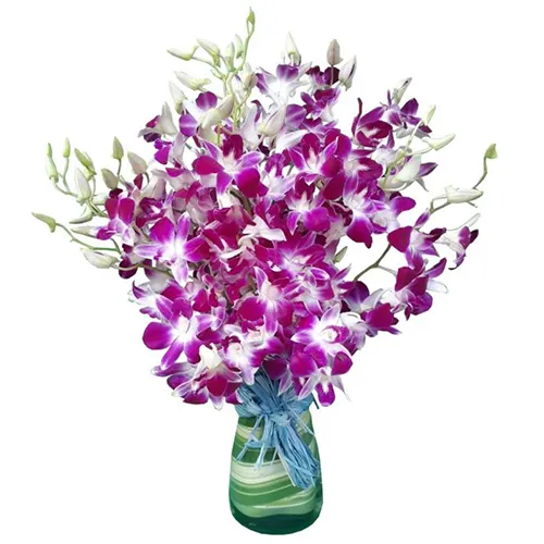 Send Lovely Orchids in Vase