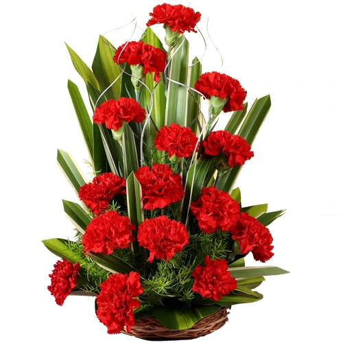 Buy Red Carnations Basket online