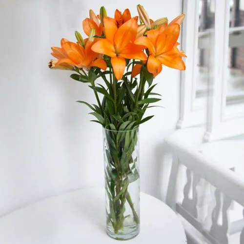 Order online Lilies in a Vase