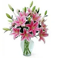 Send Pink Lilies in Vase