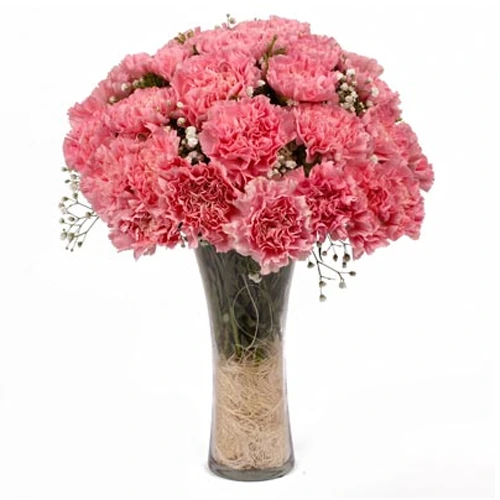 Elegant Vase Filled with 12 Pink Carnation