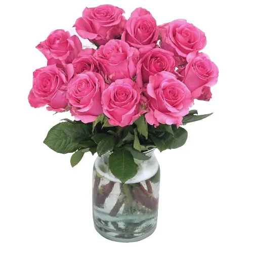 Bright Pink Roses in Vase