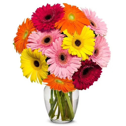 Online Mixed Gerberas in Glass Vase