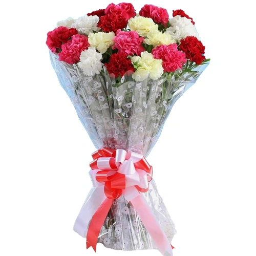 Deliver Online Mixed Carnations Bunch