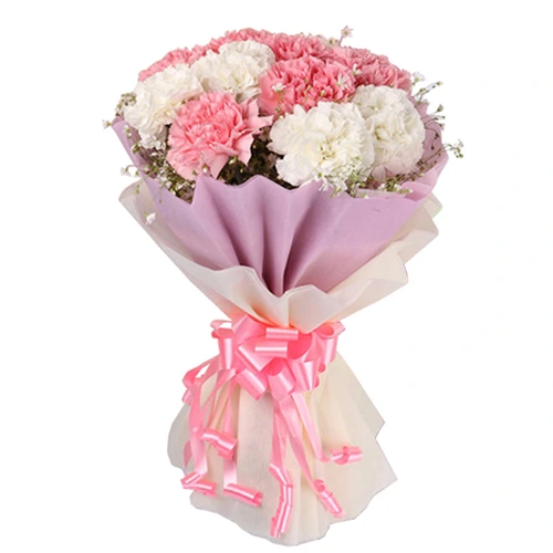 Send White N Pink Carnations Bunch Online