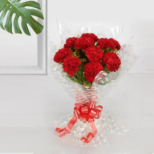 Beautiful Red Carnations Bouquet