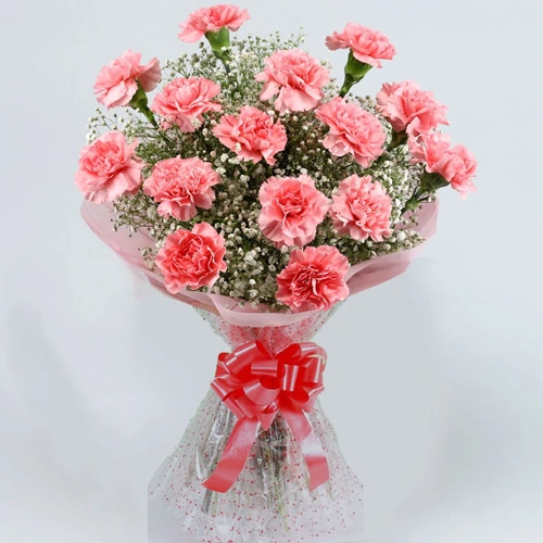 Deliver Pink Carnations Bunch Online