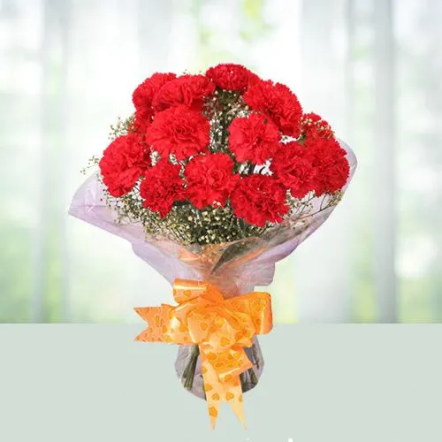 Gift Red Carnations Bouquet Online