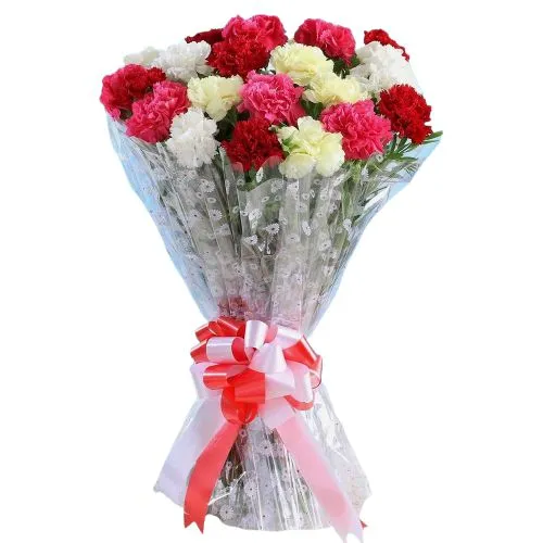 Cheerful Carnations Bouquet in Mixed Colour
