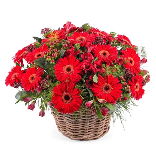 Buy Online Red Gerberas Bouquet