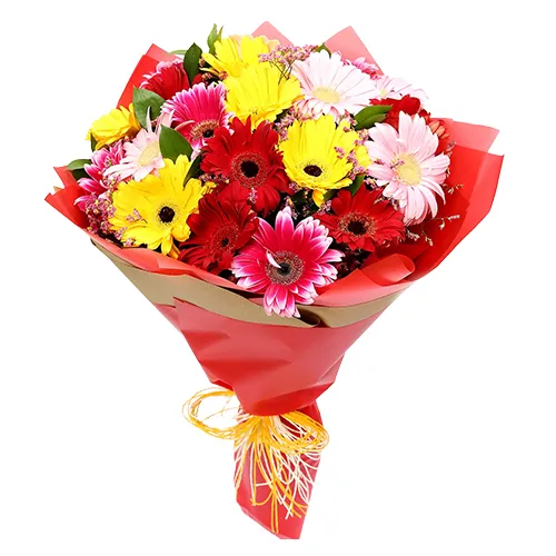 Send Online 12 Mixed Gerberas Bunch