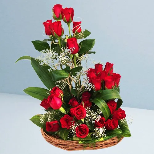Classic Selection of 25 Dutch Red Roses in a Basket