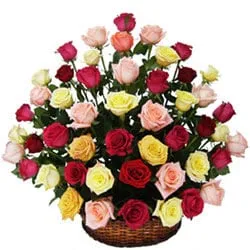 Deliver 24 Mixed Roses Basket Arrangement