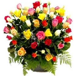 Sending Multicolored Roses Basket Arrangement