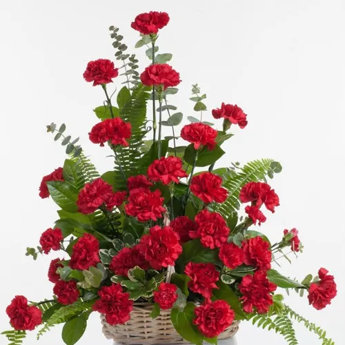 Impressive Assortment of Red Carnations