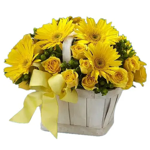 Send 15 Yellow Roses N 5 Gerberas Basket Arrangement