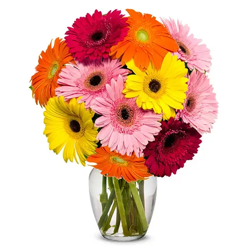 Buy Gerbera Assemblage in a Glass Vase Online