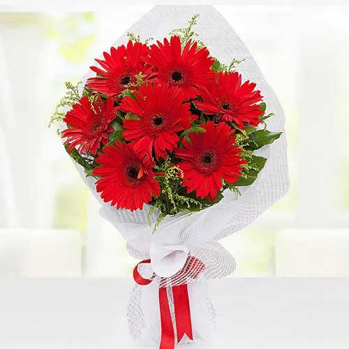 Buy Bouquet of Red Gerberas Online