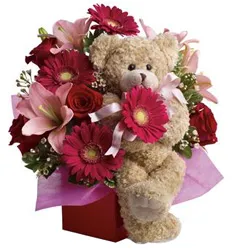 Sending Mixed Flowers Arrangement N Teddy