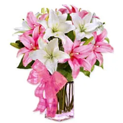 Glorious Flock of Eternal Lilies