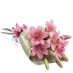 Online Bouquet of Lilies