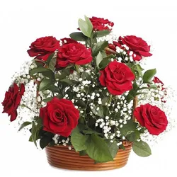 Order Arrangement of Red Roses for Birthday