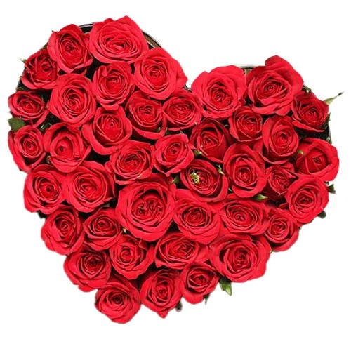 Arresting Heart Shape Arrangement of 100 Red Roses