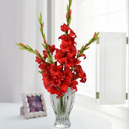 Outstanding Red Gladiolus Arrangement in Glass Flower Vase