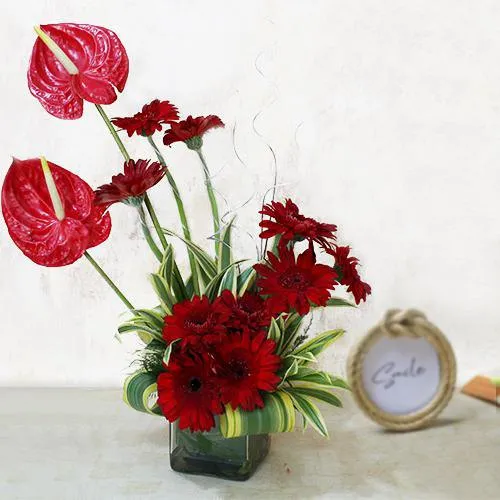 Send Red Gerbera n Anthodium Arrangement in Glass Vase