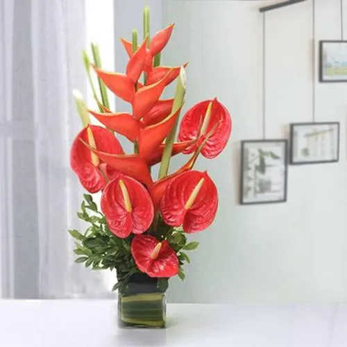 Amusing Red Anthurium with BOP Arrangement in a Glass Vase
