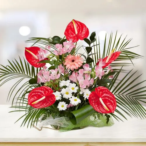 Order Captivating Anthodium n Assorted Flowers Arrangement