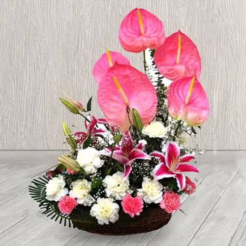 Send Arrangement of Pink N White Flowers Online