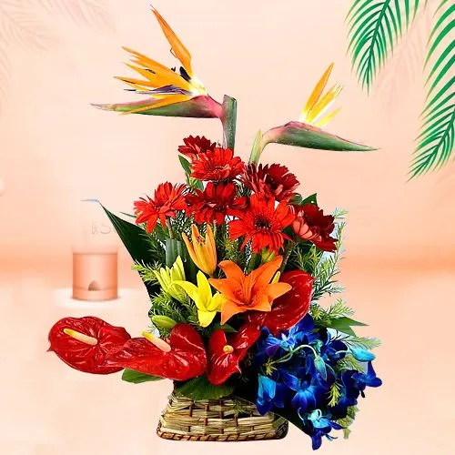 Orchard Fresh 23 Mixed Flowers Basket