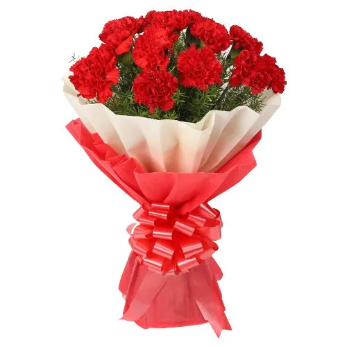 Order Red Carnations Bouquet Online