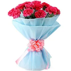 Buy this pretty Hand Bunch of Pink Carnations in a tissue wrap