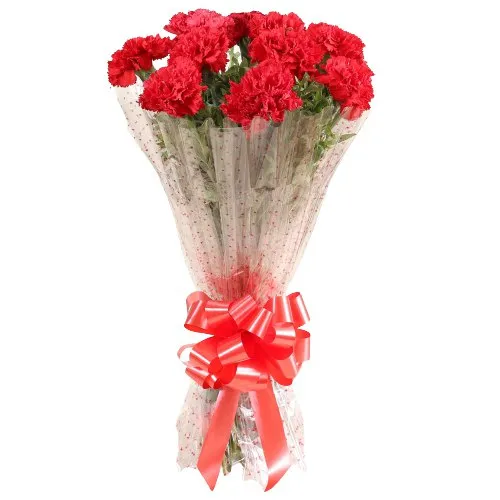 Send Red Carnations Bouquet Online
