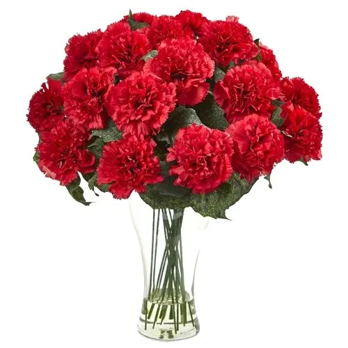 Just buy pretty Red Carnations in a glass vase
