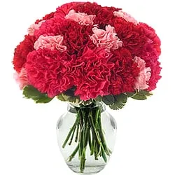 Buy these delicate Pink & Red Carnations Online in a glass vase