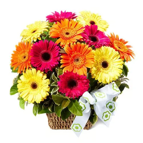 Online Delivery of Assorted Gerberas Basket