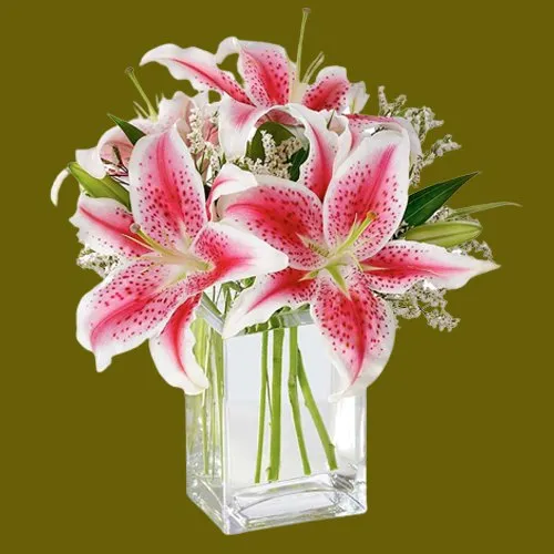 Send Gift of Pink Lilies in Glass Vase Online