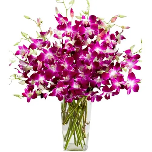Deliver Orchids in Glass Vase Online