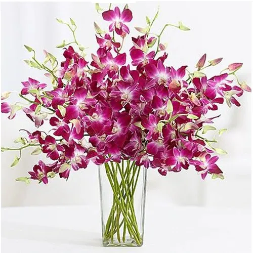 Cheerful Glass Vase Presentation of Orchids