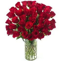 Mesmerizing Two Dozen Red Color Roses in a Glass Vase