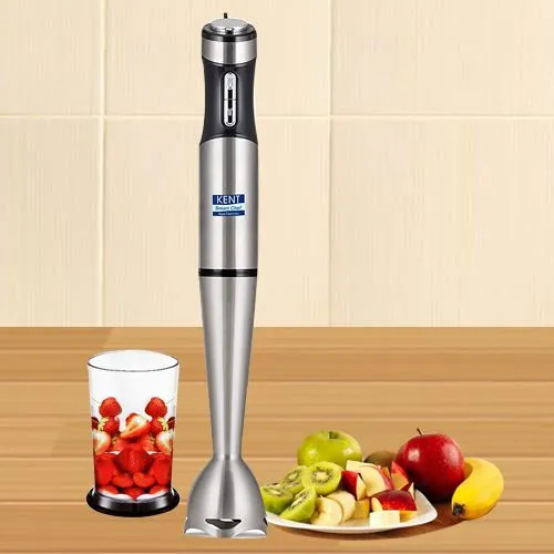 Spectacular KENT Stainless Steel Hand Blender