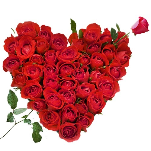 Exclusive Dutch Red Roses in Heart Shaped Arrangement