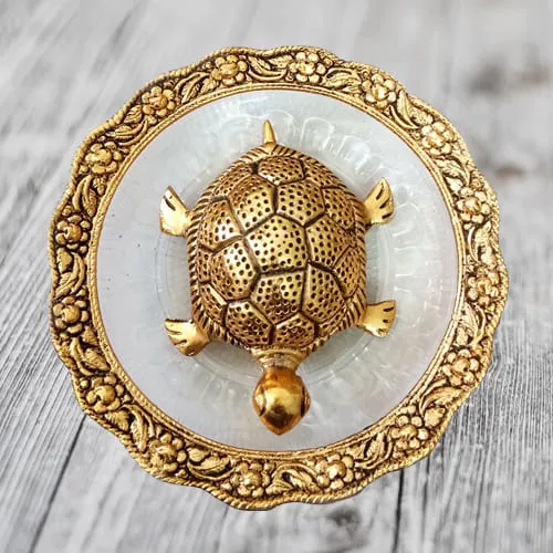 Pious Feng Shui Metal Tortoise On Plate