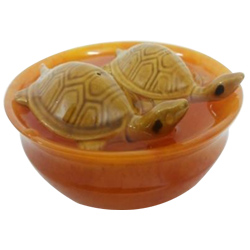 Deliver Fengshui Bowl with  Tortoise