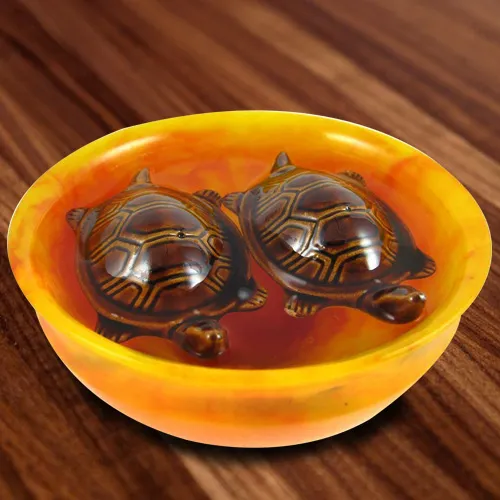 Order Fengshui Bowl with  Tortoise